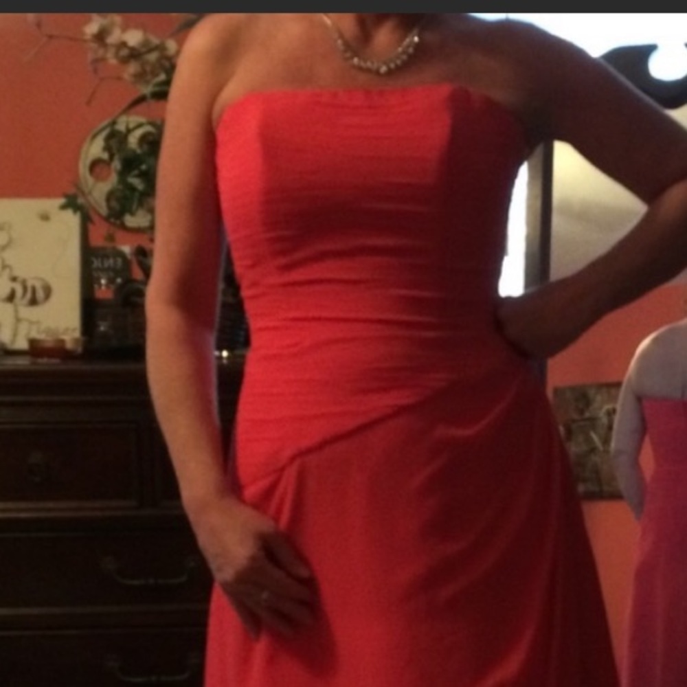 NWT Raylia Designs Strapless Watermelon Taffeta